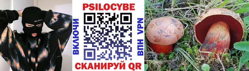 ОМГ ОМГ ТОР  Удомля  Псилоцибиновые грибы MAGIC MUSHROOMS  купить наркотики сайты 
