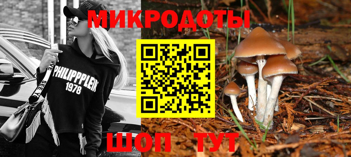 Псилоцибиновые грибы MAGIC MUSHROOMS Удомля