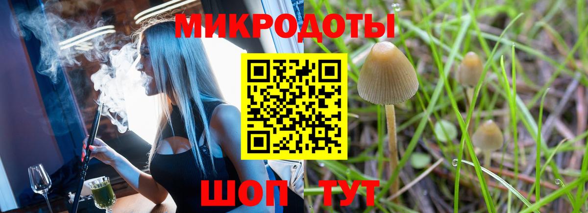 Удомля  Псилоцибиновые грибы ЛСД  Вход с VPN 