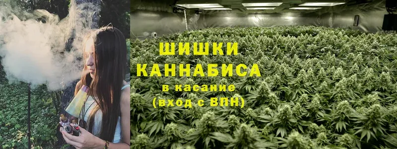 Марихуана Bruce Banner  продажа наркотиков  Удомля 